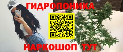 прущие крисы Будённовск